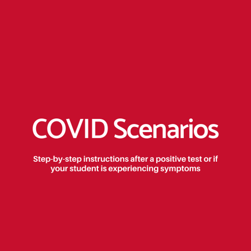 COVID Scenarios